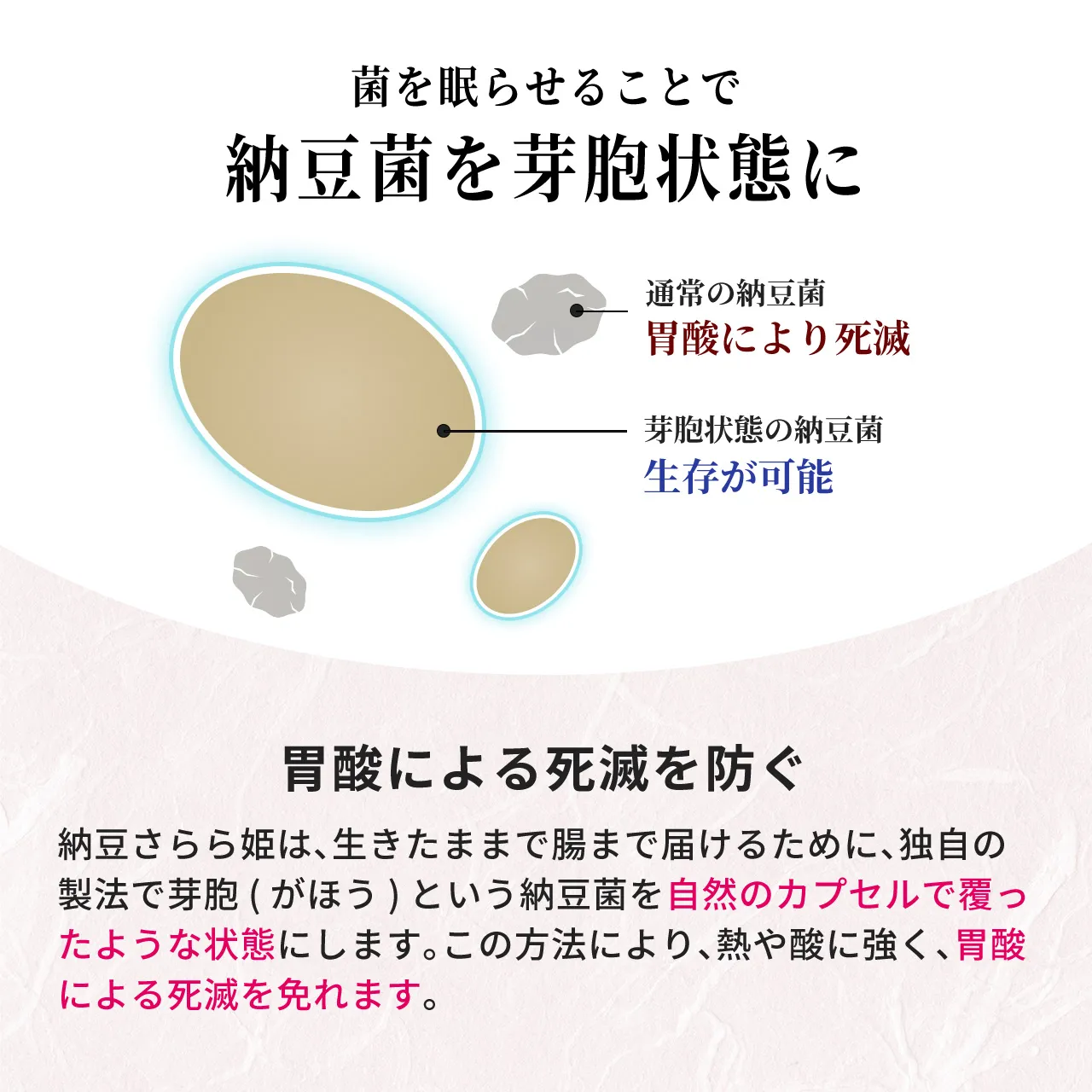 秘密は納豆菌を芽胞にすること