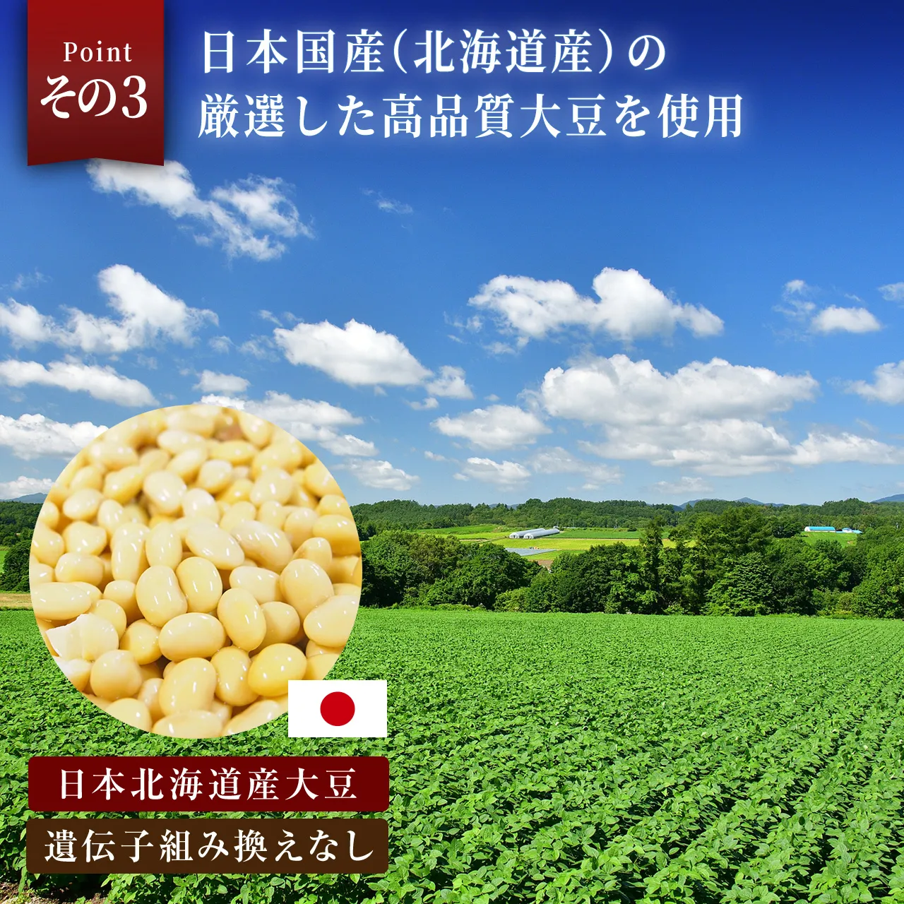 選ばれる理由その3
